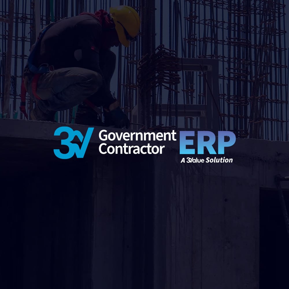 Government Contractor