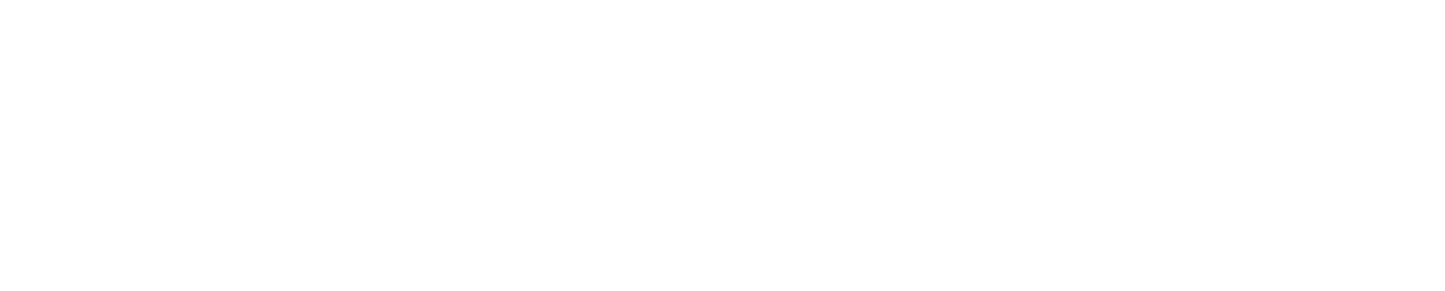 logo-ebizcharge-white